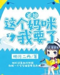 清穿四爺的老福晉