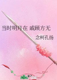 當時明月在 戚顧方無